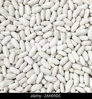 Navy, fagioli bianchi, pisello bianco, bianco rene o fagioli cannellini texture di sfondo o pattern. Materie legume di cibo. Foto Stock