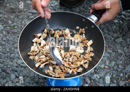 Camping la cottura. La prima colazione all'aperto - friggere i funghi selvatici per uova strapazzate in Norvegia. Foto Stock