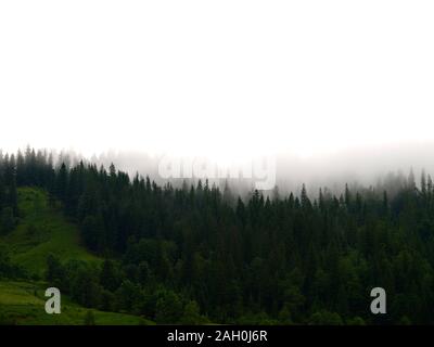 Il pittoresco e la magia delle montagne dei Carpazi in estate. Paesaggio di montagna con nebbia di mattina diffusione sopra le gamme della montagna e la foresta di abeti rossi sulla val Foto Stock