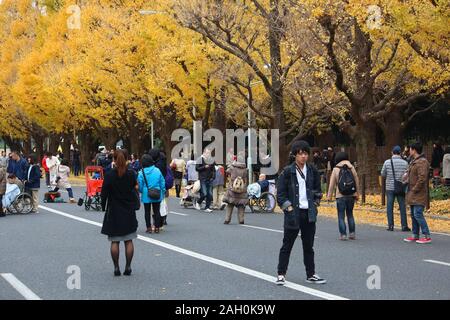 TOKYO, Giappone - 30 novembre 2016: persone celebrano il Ginkgo Avenue fogliame di autunno a Tokyo in Giappone. Icho Namiki Avenue è famosa per la sua ammirazione di au Foto Stock