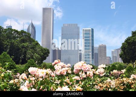 Sullo skyline di Chicago visto dal giardino di rose di Grant Park. Foto Stock