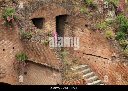 Le antiche rovine romane di Circo Massimo (Circo Massimo) a Roma, Italia Foto Stock