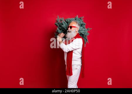 Ritratto di sua egli nizza trendy attraente bello virile contenuto forte allegro grey-haired uomo indossare pullover maglione di festa tenuta albero verde Foto Stock