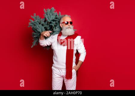 Ritratto di sua egli bella attraente contenuto bello dreamy virili maschile grigio alla moda capelli uomo in pullover maglione portante celebrativo di festa Foto Stock