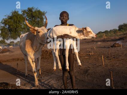 Tribù Mundari boy portando un vitello in un accampamento, Equatoria centrale, Terekeka, sud Sudan Foto Stock