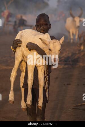 Tribù Mundari boy portando un vitello in un accampamento, Equatoria centrale, Terekeka, sud Sudan Foto Stock