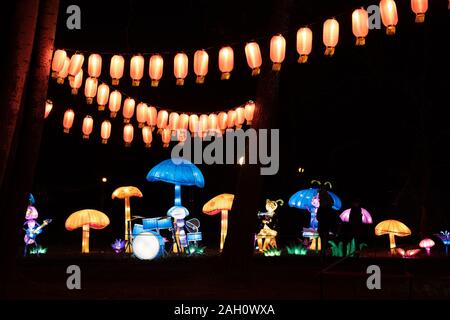 Varsavia, Polonia - 16 dicembre 2019: funghi e insetti banda musicale al cinese Light Festival, illuminazione notturna in mostra a Fort Bema Foto Stock