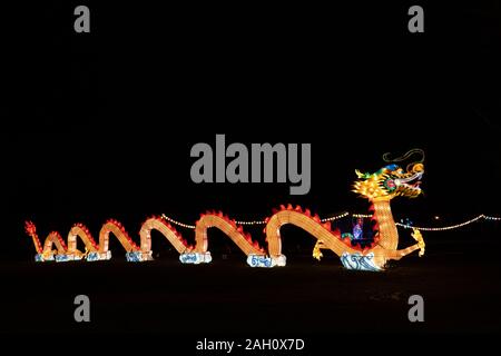 Varsavia, Polonia - 16 dicembre 2019: Dragon al cinese Light Festival, la cultura Cinese tradizionale mostra, illuminazione notturna a Fort Bema Foto Stock