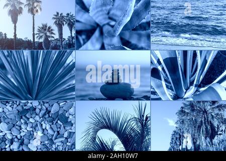 Collage creativo del classico colore blu. Umore alla moda. Concetto di natura. Blu classico colore alla moda dell'anno 2020 Foto Stock