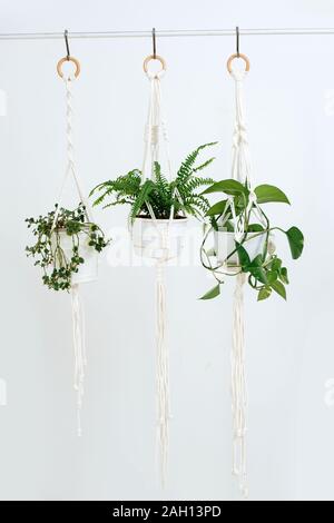 Tre piani di vasi di tramandare una pentola macrame titolari di fronte ad una parete mentre Foto Stock