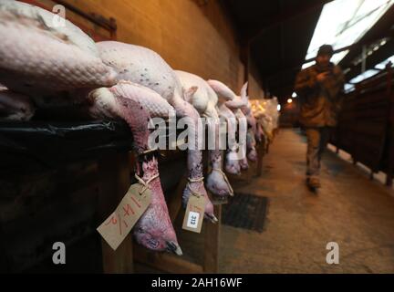 Vista acquirenti tacchini prima di essere venduti a aste CD Natale pollame vendita all asta Longtown mercato. Foto di PA. Picture Data: lunedì 23 dicembre, 2019. L'asta vende oche, anatre e galline tutti forno pronto o ruvida pizzicata per Natale. Foto di credito dovrebbe leggere: Andrew Milligan/PA FILO Foto Stock