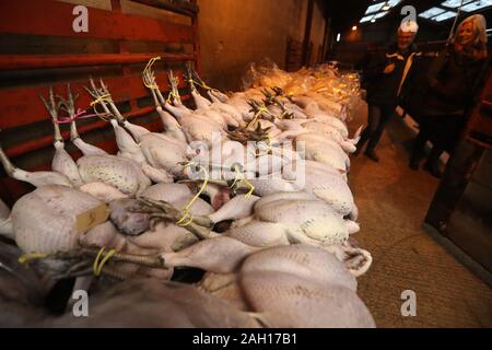 Vista acquirenti tacchini prima di essere venduti a aste CD Natale pollame vendita all asta Longtown mercato. Foto di PA. Picture Data: lunedì 23 dicembre, 2019. L'asta vende oche, anatre e galline tutti forno pronto o ruvida pizzicata per Natale. Foto di credito dovrebbe leggere: Andrew Milligan/PA FILO Foto Stock