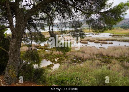 Le zone umide costiere dell'isola di Kefalonia, Grecia Foto Stock