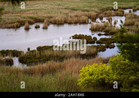 Le zone umide costiere dell'isola di Kefalonia, Grecia Foto Stock