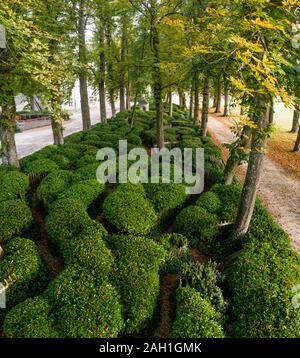 Francia, Sarthe, Loir valley, Le Lude, Chateau du Lude gardens, labirinto nel sottobosco // Francia, Sarthe (72) Foto Stock