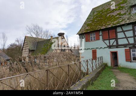 Ungersheim, Haut-Rhin / Francia - 13. Dicembre, 2019: vista del centro storico di metà-case con travi di legno nella regione francese dell'Alsazia Foto Stock