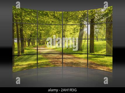 Una parete curva. 16 piccole immagini danno un'immagine intera. Viale di alberi, il sole splende attraverso gli alberi Foto Stock