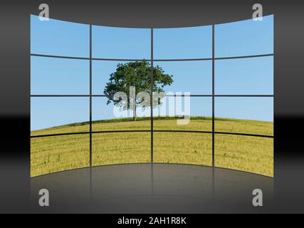 Una parete curva. 16 piccole immagini danno un'immagine intera. Un albero di quercia e un banco (mobili) in piedi su una collina in un campo di grano in estate. Foto Stock