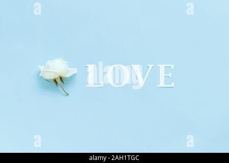 Parola di Amore e di fiore su sfondo azzurro vista superiore Foto Stock