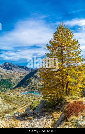I colori dell'autunno, dominata dal rosso dei mirtilli, il blu intenso del cielo e il verde smeraldo delle acque dei laghi alpini Foto Stock