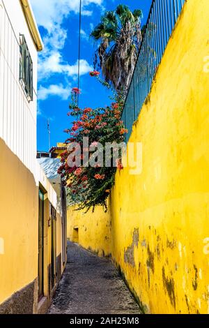 Vicolo stretto con parete gialla luminosa di Fortaleza de Sao Tiago nella città vecchia di Funchal, Madeira, Portogallo Foto Stock