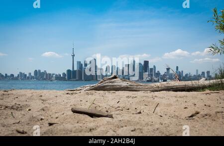 Lo skyline di Toronto il colpo da Toronto Islands con spiaggia e driftwood in primo piano. Girato in giornata soleggiata, nuvole visibili, copia dello spazio disponibile. Foto Stock