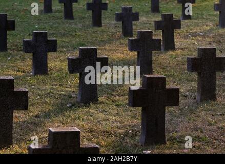 Bucarest, Romania - 11 Novembre 2018: Diverse croci in pietra di soldati caduti nella Prima Guerra Mondiale sono visibili nel cimitero degli eroi Pro Patria, in Buchare Foto Stock