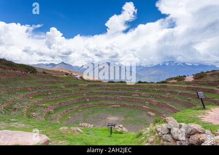 Inca terrazzamenti agricoli, murene, vicino alla città di Cusco e Maras. Perù Foto Stock