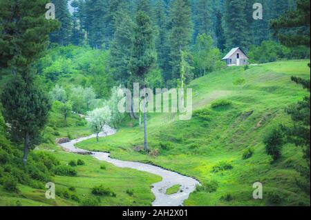 Una casa isolata situato in cima a una collina con un piccolo ruscello che scorre. lussureggiante paesaggio verde Foto Stock