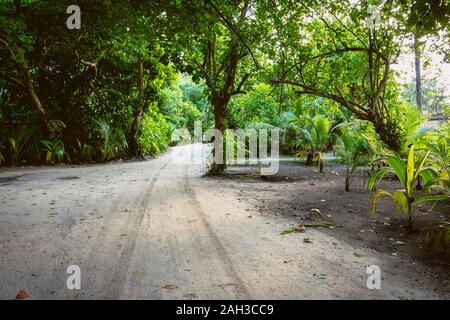 Una piccola giungla in mezzo alle Maldive con percorsi di sabbia e raggi del sole attraverso la giungla Foto Stock