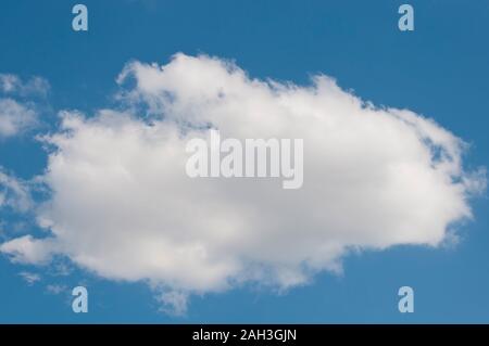 Puffy cumulus cloud su un cielo blu chiaro Foto Stock
