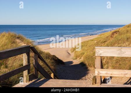 Modo di listelli di legno che passa attraverso le dune di marram erba che conduce alla spiaggia di Sylt Foto Stock