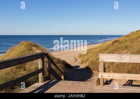 Modo di listelli di legno che passa attraverso le dune di marram erba che conduce alla spiaggia di Sylt Foto Stock