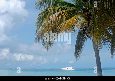 Un lussuoso yacht privato a motore sul mare tropicale vicino ad una spiaggia tropicale dei Caraibi Isla Mujeres Messico Foto Stock