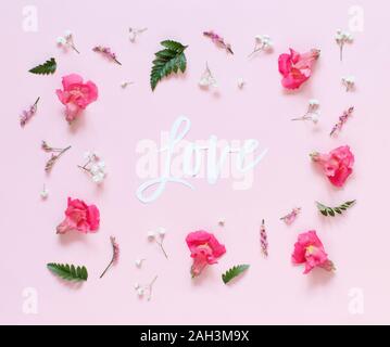 Fiori nad parola amore su una luce sfondo rosa vista superiore Foto Stock