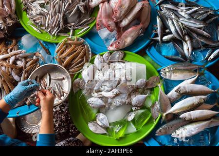 Varietà di materie pesce fresco in Hoi An, Vietnam. Foto Stock