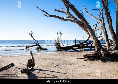 Botany Bay beach, Edisto Island, South Carolina, STATI UNITI D'AMERICA Foto Stock