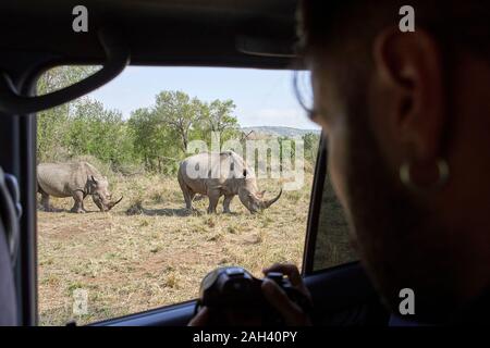 Uomo di scattare una foto di un rinoceronti al di fuori della finestra di auto, Hluhluwe-Imfolozi Park, Sud Africa Foto Stock