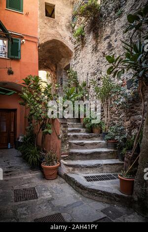 Vicolo stretto e scale Vernazza in Liguria, Italia Foto Stock