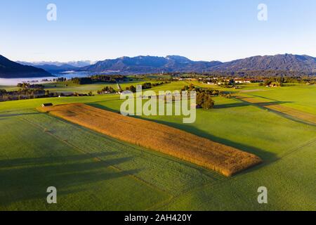 In Germania, in Baviera, Greiling, vista aerea di campi verdi Foto Stock