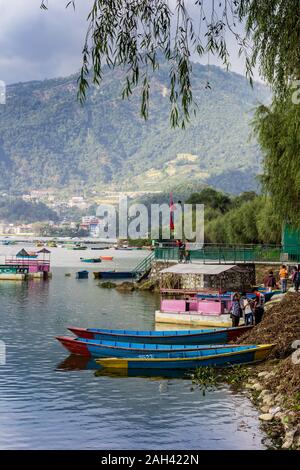 Colorate barche di legno sulla riva del lago di Lago Phewa in Pokhara, Nepal Foto Stock