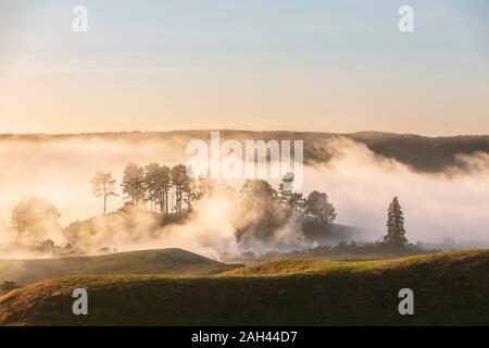 Nuova Zelanda, Isola del nord, Rotorua, paesaggio di rotolamento avvolta in una fitta nebbia di mattina Foto Stock