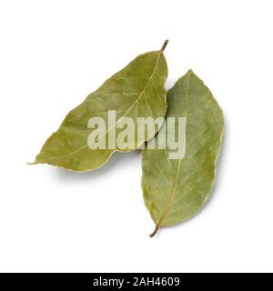 Coppia di essiccato laurel bay lascia isolati su sfondo bianco Foto Stock