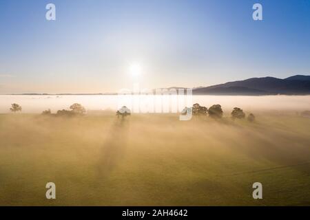 In Germania, in Baviera, Greiling, vista aerea di campi nella nebbia di sunrise Foto Stock