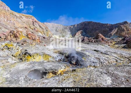 Nuova Zelanda, Isola del nord, Whakatane, fumarole attive di Isola Bianca (Whakaari) Foto Stock