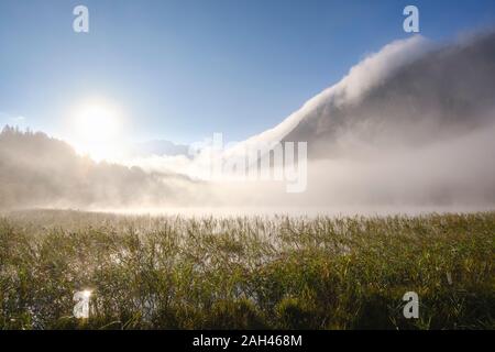 In Germania, in Baviera, Mittenwald, nebbia fitta su flottante Ferchensee lago di sunrise Foto Stock