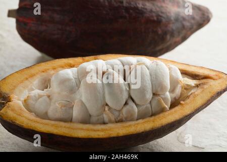 Dimezzati freschi frutti di cacao con materie prime fave di cacao, visibile Foto Stock