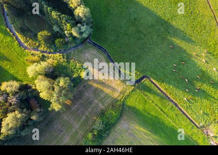In Germania, in Baviera, Konigsdorf, vista aerea del gregge di pecore al pascolo in pascolo lungo Zellwieser tributario Muhlbach Foto Stock