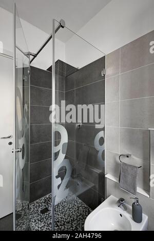 Interior shot di un moderno bagno in primo piano il vetro box doccia e bidet, le pareti sono rivestite di piastrelle Foto Stock