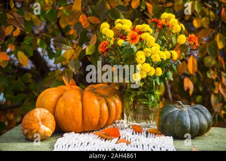 Tabella d'autunno con un bouquet di fiori di giallo crisantemi e zucche nel giardino tra il fogliame giallo. Sfondo di ringraziamento. Foto Stock